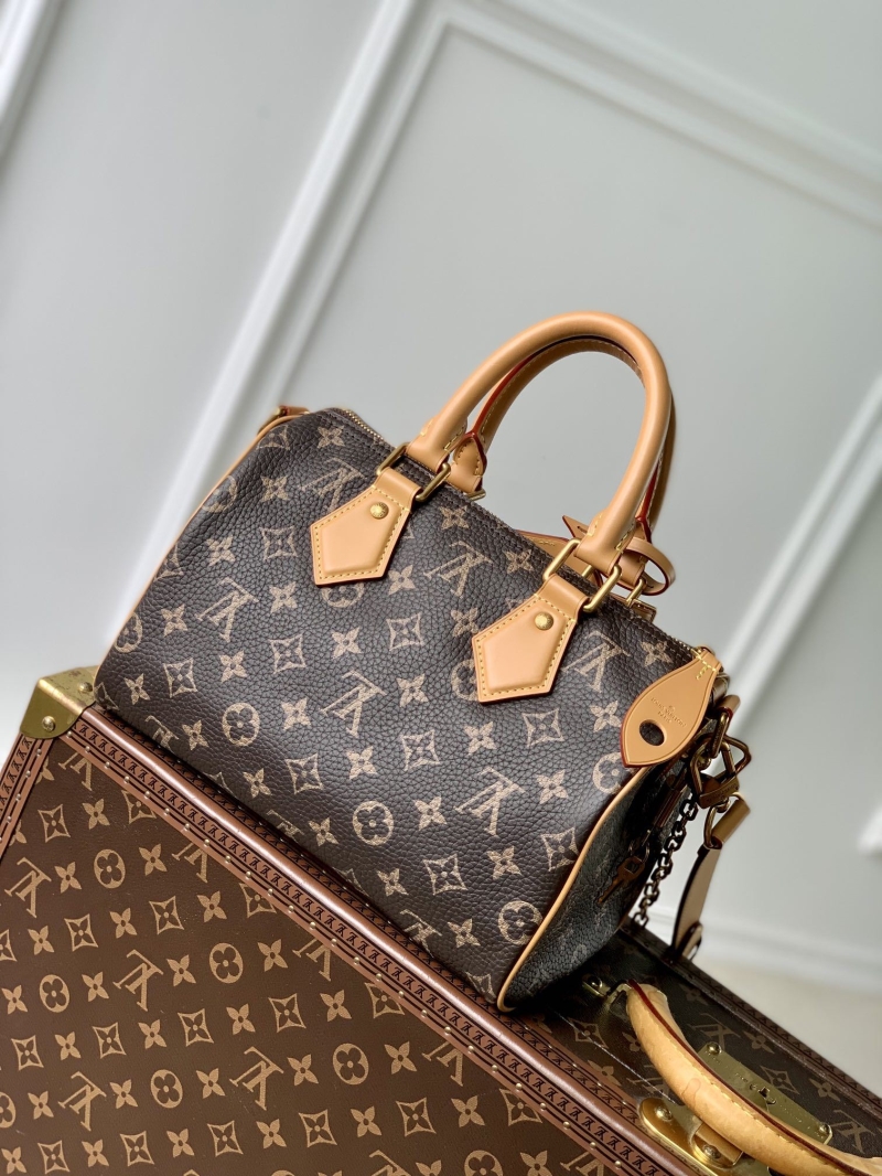 LV Travel Bags